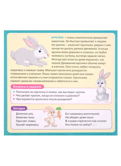Развивающие карточки для детей. Домашние животные (20 карточек) - фото 5