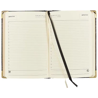 Ежедневник недатированный А5, 152 листа, "Prestige. Iguana", черный - фото 3