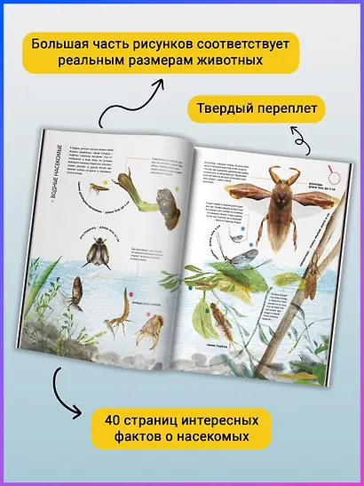 Насекомые в натуральную величину - фото 5