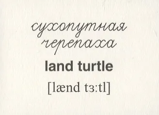 Домашние питомцы. 16 раздаточных карточек со словами на русском и английском языках на обороте - фото 3