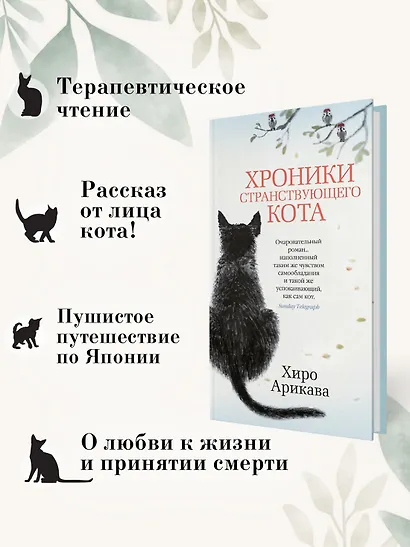 Хроники странствующего кота - фото 5