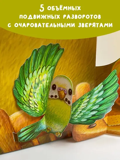 Домашние животные - фото 4
