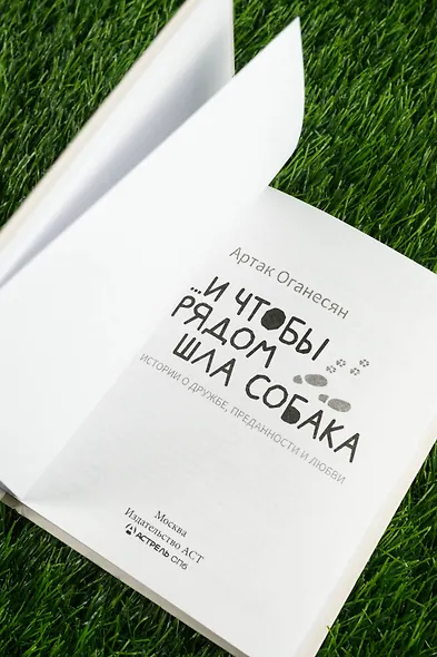 ...и чтобы рядом шла собака. Истории о дружбе, преданности и любви - фото 8