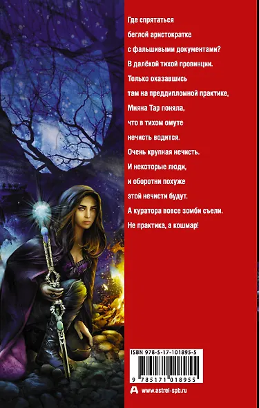 Кошмарная практика для кошмарной ведьмы - фото 2