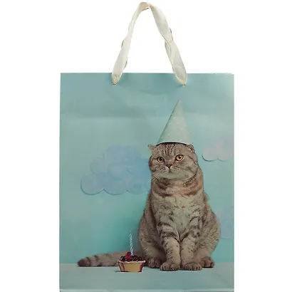 Пакет "Cat. Basic", А4 - фото 2