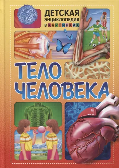 Тело человека. Детская энциклопедия в картинках. - фото 1