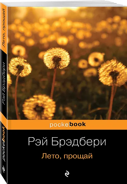 Лето прощай : роман - фото 3