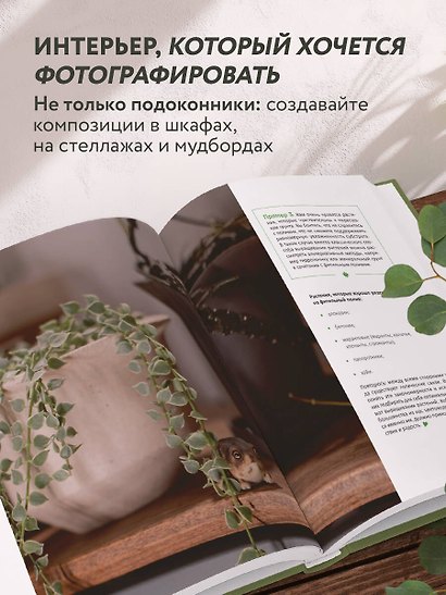 Эстетика живого интерьера. Как создать стильное пространство с помощью комнатных растений - фото 5