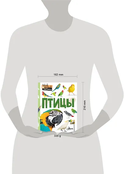 Птицы - фото 2