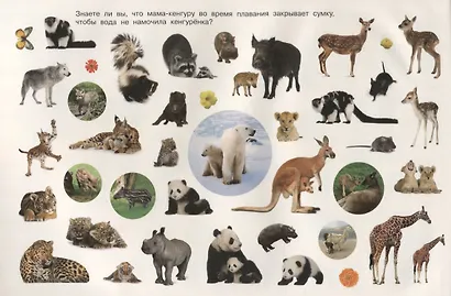 Мамы и малыши - фото 2