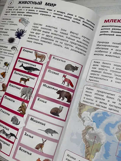 Животные. Мой первый атлас с наклейками - фото 8