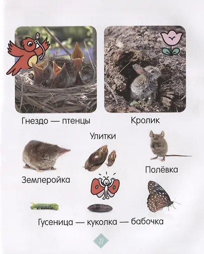 Главная книга малыша. Зверята. Фотокнига - фото 5