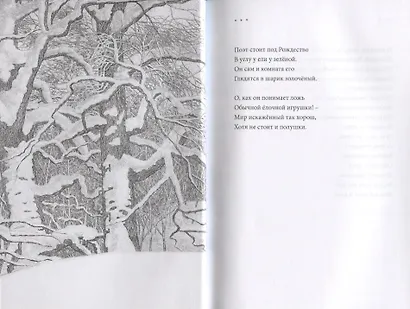 Счастье было – сетовать грешно - фото 5