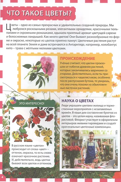 Цветы. Популярная детская энциклопедия - фото 3