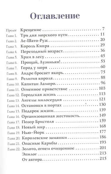 Французский капитан - фото 2