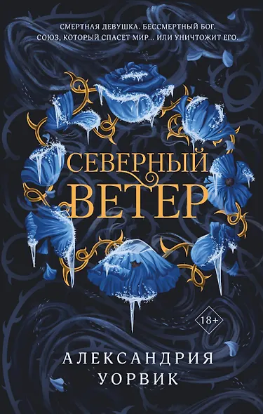 Северный ветер - фото 1