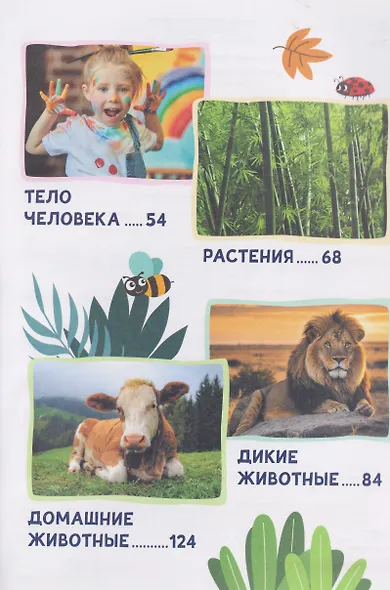 Большая энциклопедия малыша. 300 вопросов и ответов - фото 8
