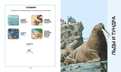 Иллюстрированная энциклопедия животных - фото 4