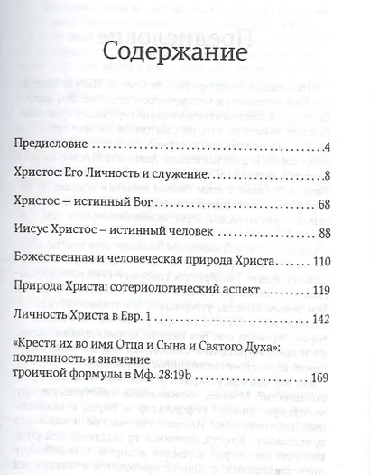 Сын Божий сын Человеческий (мЗащБИ) - фото 2