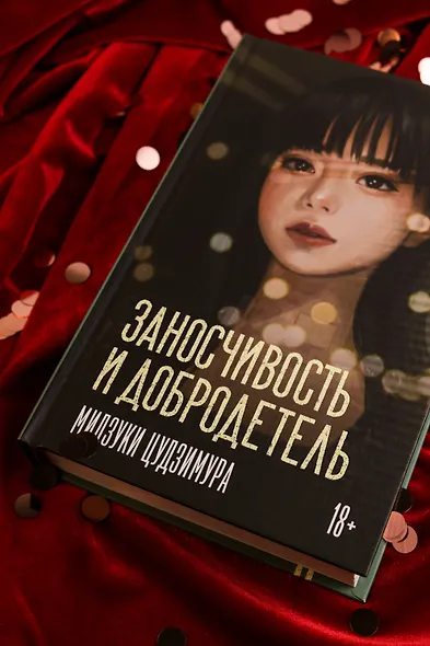 Заносчивость и добродетель - фото 8