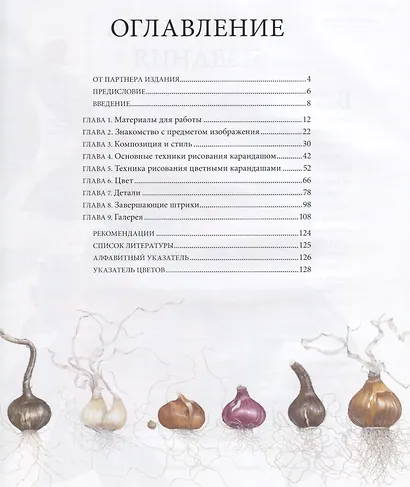 Ботаническая иллюстрация цветными карандашами. Пошаговое руководство - фото 3