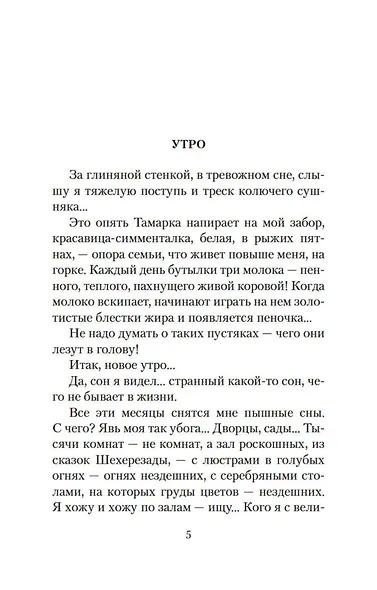 Солнце мертвых - фото 8