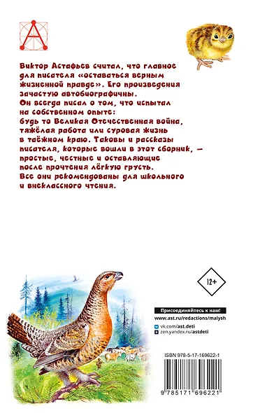 Белогрудка. Рассказы для детей - фото 2