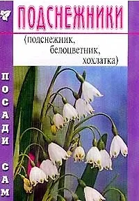 Подснежники (Посади сам) (м) - фото 1