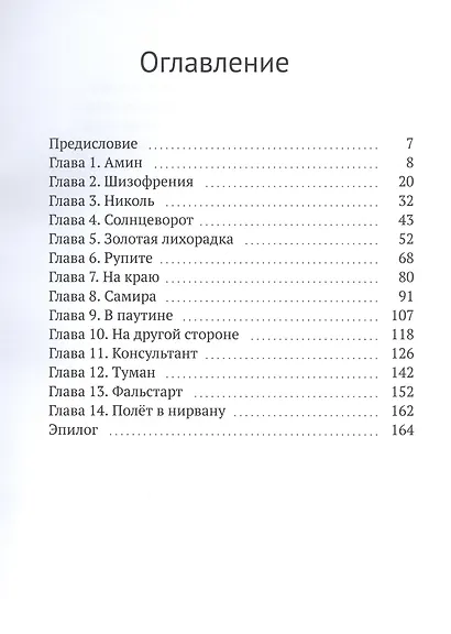 Полет в нирвану - фото 3