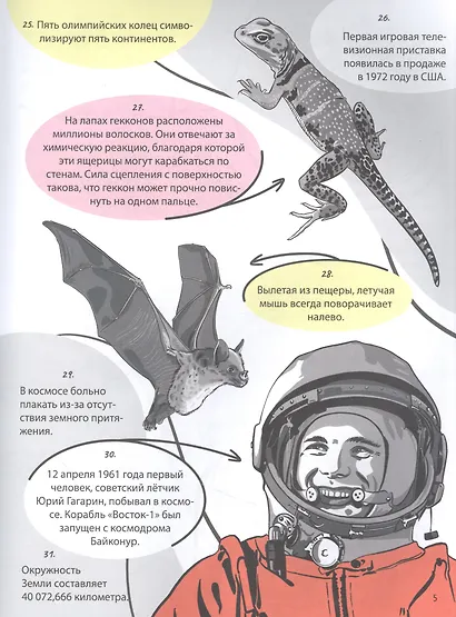 Энциклопедия на каждый день. 365 фактов обо всём на свете. глянц. ламин 215х288 - фото 4