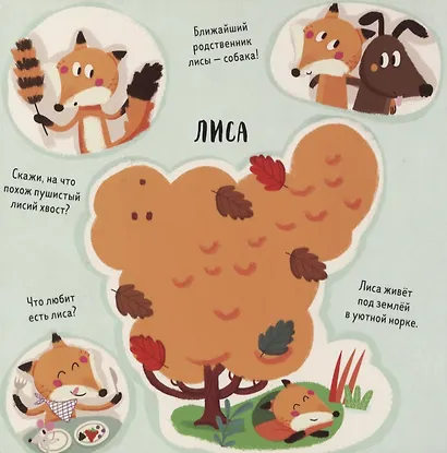 Весёлые прятки - фото 4