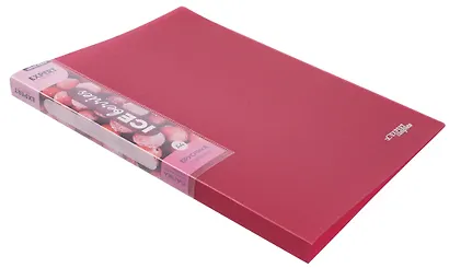 Папка с бок.прижимом А4 "Trend ICEberries", пластик 20мм, ассорти, - фото 4