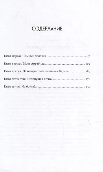 Радин: роман - фото 2