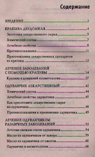 Крапива и одуванчик от 100 болезней - фото 2