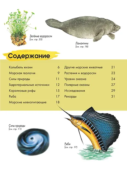 Подводный мир - фото 8