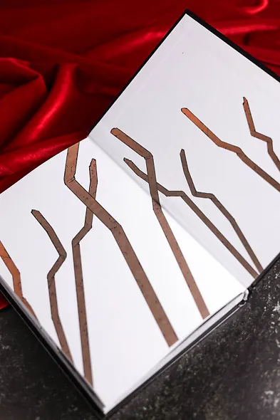 Гангста. Проклятый. Том 4 - Эпизод: Марко Адриано (Бандитос / Gangsta). Манга - фото 12