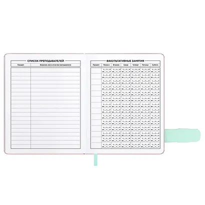 Дневник шк. "Всё норм" кожзам, тв.переплёт, тиснение фольгой, магнит.клапан, пантон, одно ляссе, загругл.углы, универс.шпаргалка - фото 11