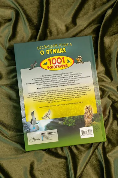 Большая книга о птицах. 1001 фотография - фото 11