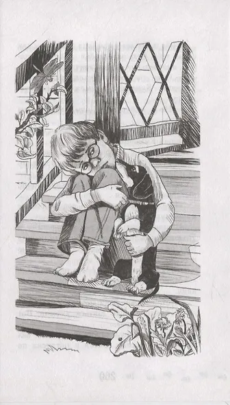 Жил-был Такс - фото 6