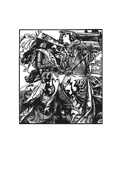 Король былого и грядущего. Романы - фото 6