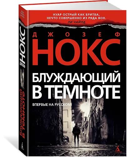 Блуждающий в темноте - фото 2