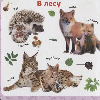 Мамы и детки - фото 2