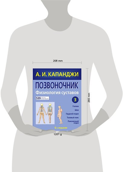 Позвоночник: Физиология суставов. 6-е изд. - фото 4