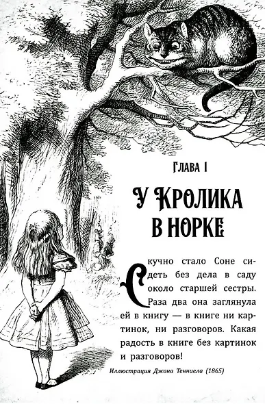 Соня в царстве Дива - фото 4