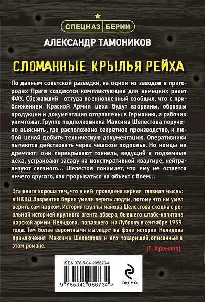 Сломанные крылья рейха - фото 2