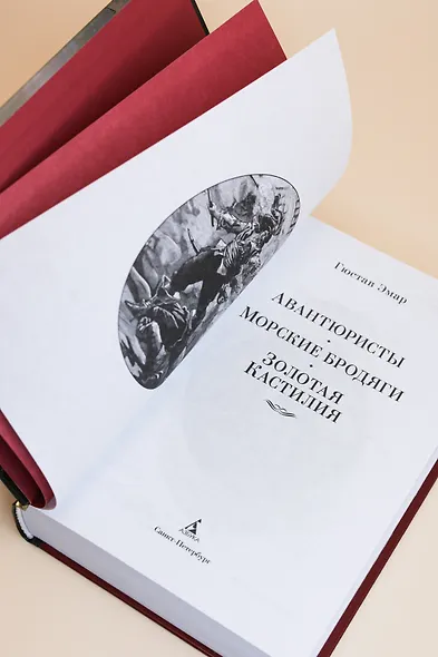 Авантюристы. Морские бродяги. Золотая Кастилия - фото 11