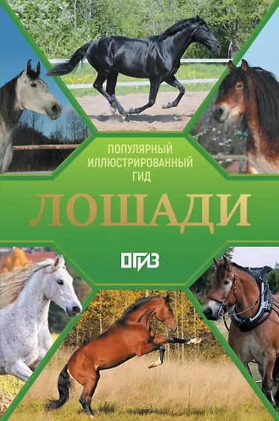 Лошади. Иллюстрированный гид - фото 1