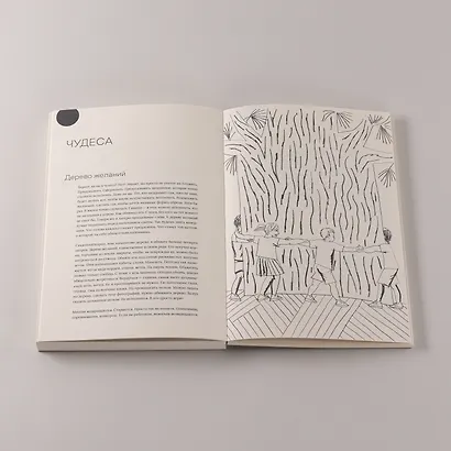 100 слов не только про Артек: Заметки директора, педагога, человека - фото 9