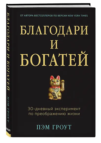 Благодари и богатей. 30-дневный эксперимент по преображению жизни - фото 3