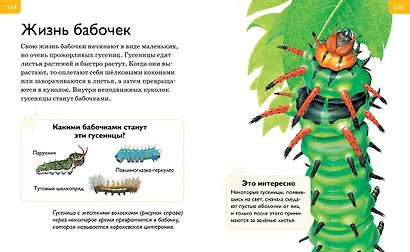 Большая энциклопедия для любознательных - фото 6